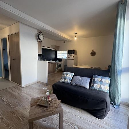 Appartement Entier 38M2 T2 Hyper Centre De Dax Zewnętrze zdjęcie